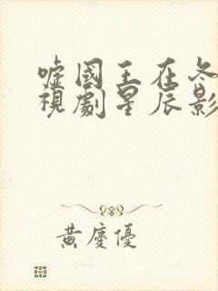 嘘国王在冬眠电视剧星辰影院