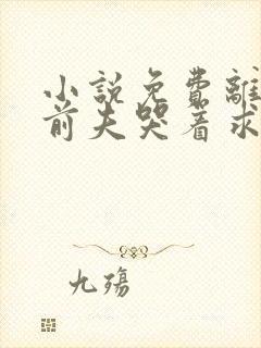 小说免费离婚后前夫哭着求复婚