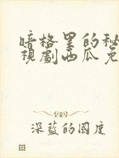 暗格里的秘密电视剧西瓜免费观看