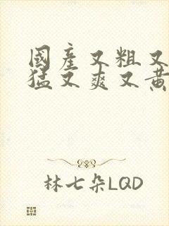 国产又粗又长又猛又爽又黄的网站