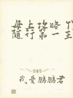 母上攻略 竹影随行第一主板