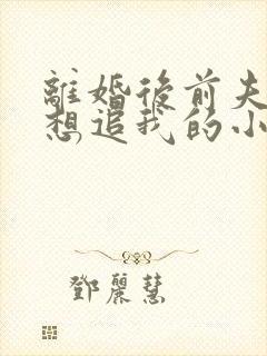 离婚后前夫总是想追我的小说