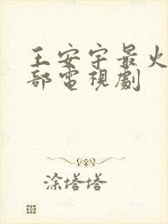 王安宇最火的三部电视剧