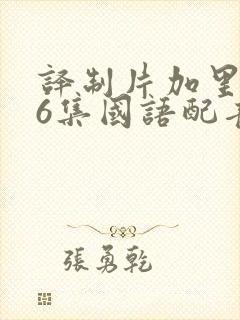 译制片加里森26集国语配音免费观看