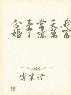 分手当天,我闪婚了亿万富豪小说