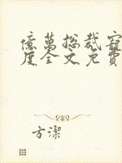 亿万总裁宠妻无度全文免费阅读