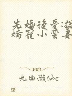 先婚后爱:总裁娇宠小蛮妻封面