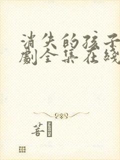 消失的孩子电视剧全集在线观看