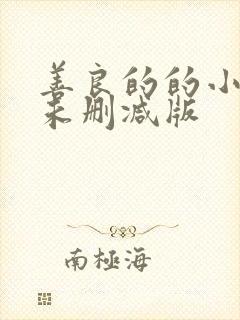 善良的的小[子未删减版