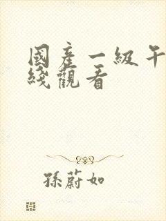 国产一级午夜在线观看