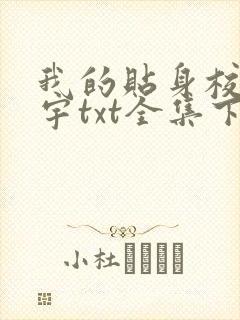 我的贴身校花唐宇txt全集下载