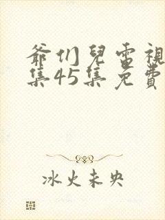 爷们儿电视剧全集45集免费在线观看