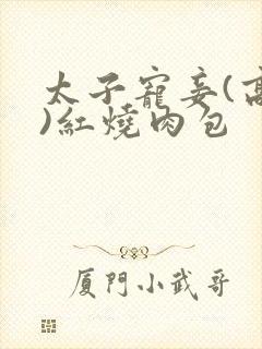 太子宠妾(高肉)红烧肉包