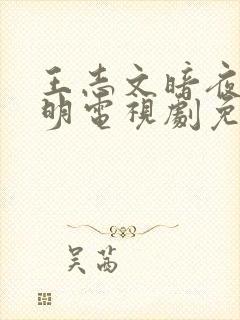 王志文暗夜与黎明电视剧免费观看