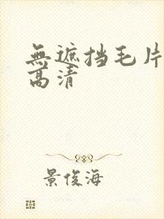 无遮挡毛片内射高清
