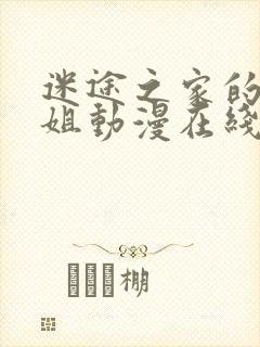 迷途之家的大姐姐动漫在线