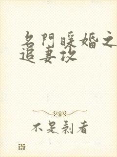 名门暖婚之权爷追妻攻