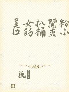 美女扒开粉嫩尿囗的桶爽小说