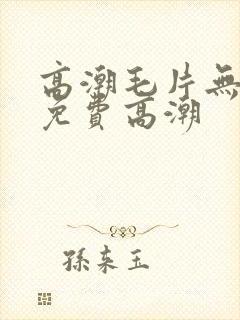 高潮毛片无遮挡免费高潮