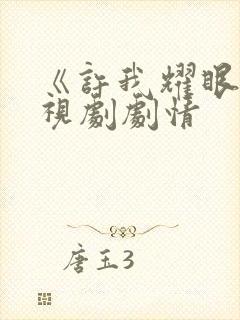 《许我耀眼》电视剧剧情