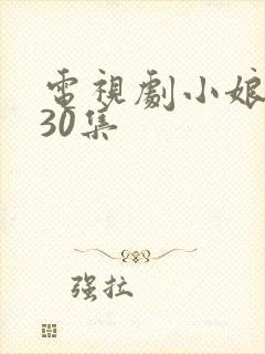 电视剧小娘惹第30集