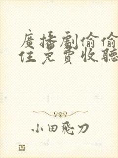 广播剧偷偷藏不住免费收听