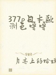 377p日本欧洲色噜噜封面