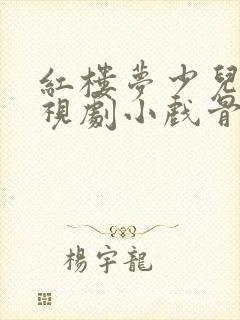 红楼梦少儿版电视剧小戏骨