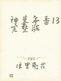 神墓年番13集完整版