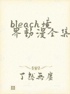 bleach境界动漫全集免费收看封面