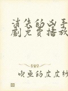 消失的凶手电视剧免费播放在线观看封面