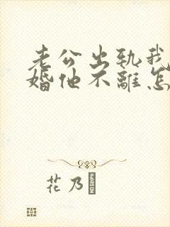 老公出轨我想离婚他不离怎么办