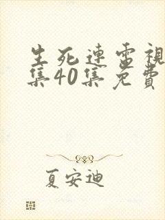 生死连电视剧全集40集免费观看高清
