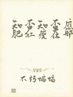 知否知否应是绿肥红瘦在哪个卫视播