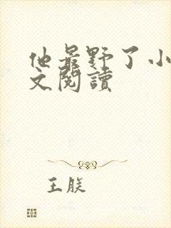 他最野了小说全文阅读