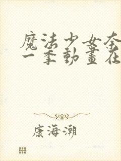 魔法少女奈叶第一季动画在线观看