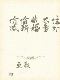 偷偷藏不住未删减新婚番外