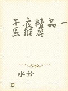 午夜精品一区二区推荐