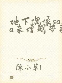 地下偶像sana未增删带歌词的特点封面