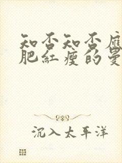 知否知否应是绿肥红瘦的曼娘