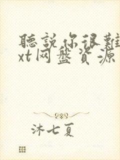 听说你很难追txt网盘资源