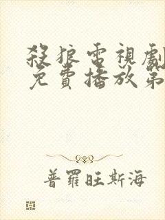 杀狼电视剧全集免费播放第30集在线观看封面