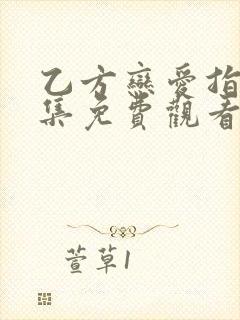 乙方恋爱指南全集免费观看韩剧