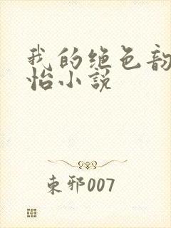 我的绝色韵母郑怡小说