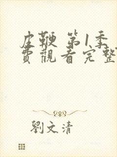 皮鞭 第1季免费观看完整版在线全集