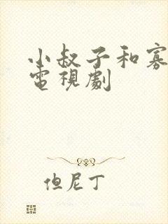 小叔子和寡嫂的电视剧