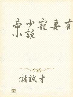 帝少宠妻有点甜小说