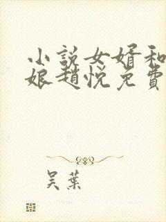 小说女婿和丈母娘赵悦免费阅读