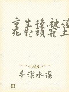 重生后,被渣男死对头宠上天 完结