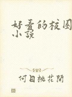 好看的校园恋爱小说封面